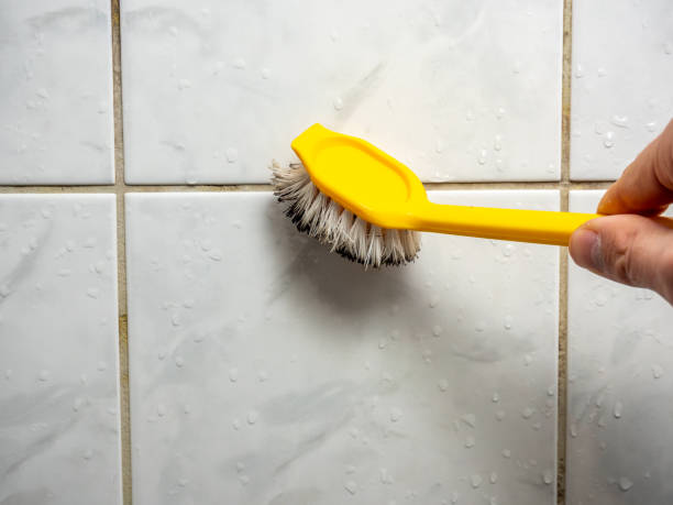 Best Mold Cleaning Services  in Pquemine, LA