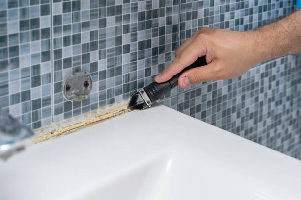Best Mold Testing  in Pquemine, LA